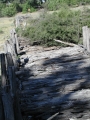 Log bridge in Linyanti 